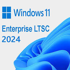 Microsoft Windows 11 IoT-licens Value-1