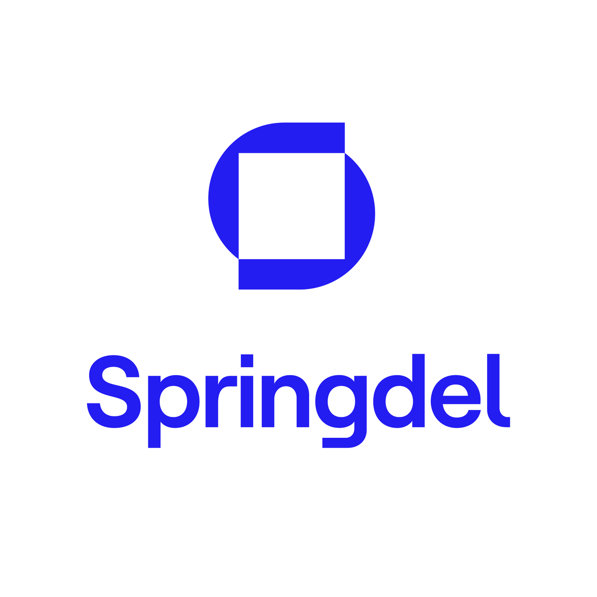 Springdel Windows license 3-year, per device-1