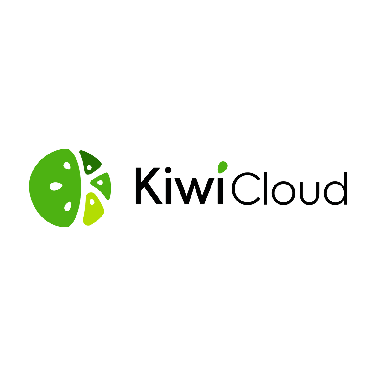 Imin KiwiCloud Essential 1-year, per device-1